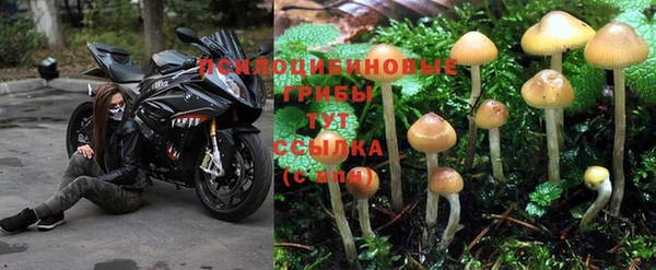 экстази Белоозёрский