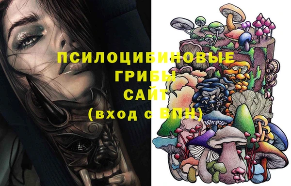 мет Белокуриха
