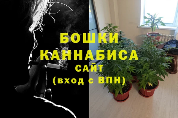 мет Белокуриха