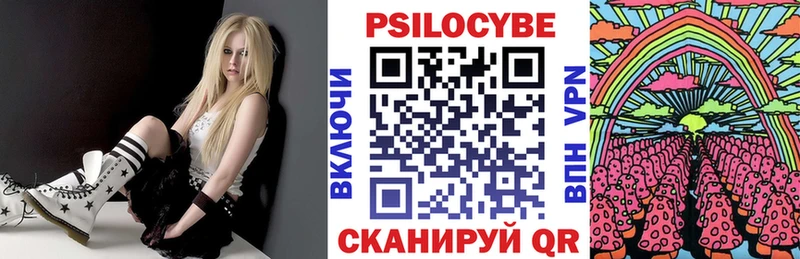 Псилоцибиновые грибы MAGIC MUSHROOMS  Купить  Грязи 